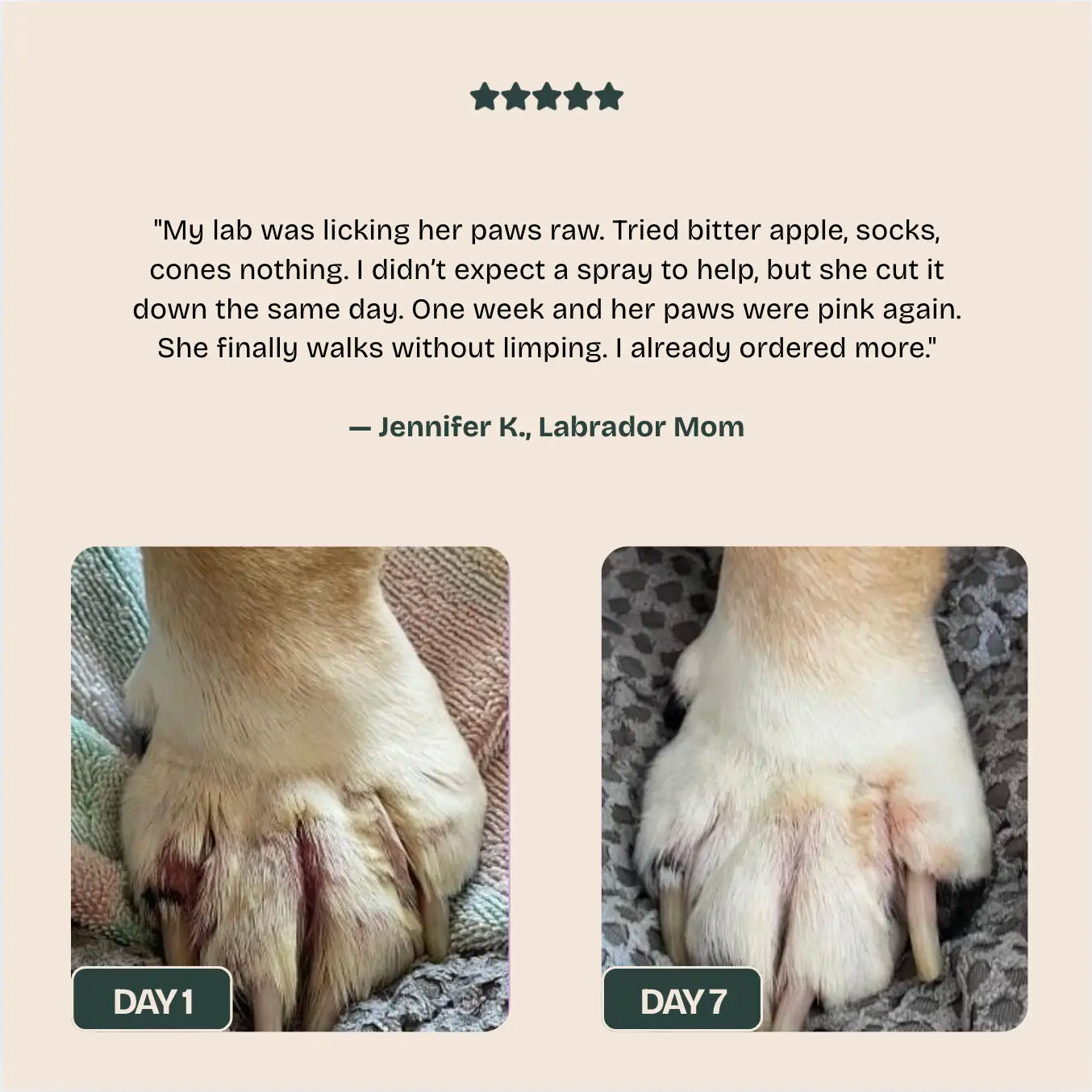 PawLabs™ Postbiotic Spray