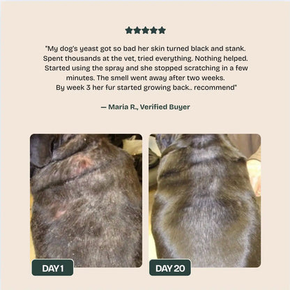 PawLabs™ Postbiotic Spray