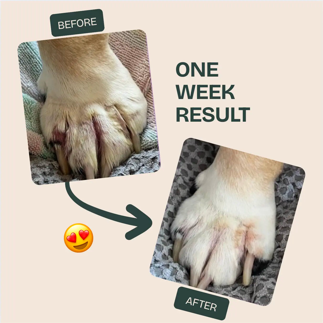 PawLabs™ Postbiotic Spray