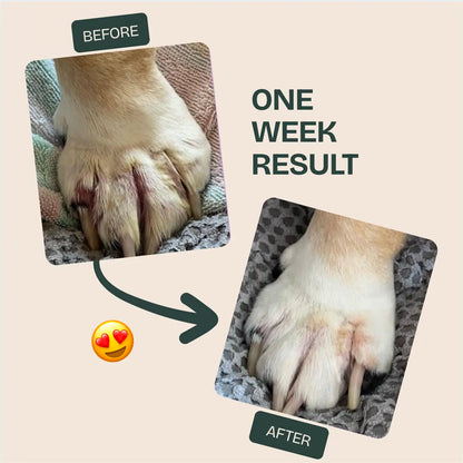 PawLabs™ Postbiotic Spray