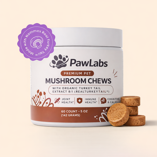 Mushroom Chews