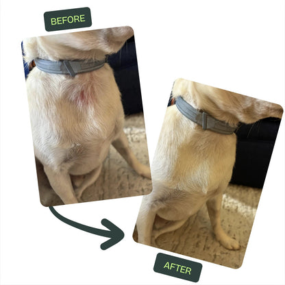 PawLabs™ Postbiotic Spray